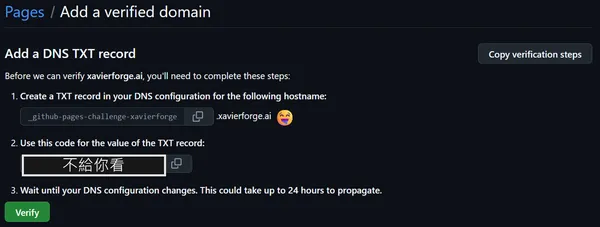 The domain-verification TXT record GitHub provides (Name and Value)