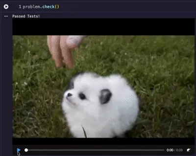 Doggo for passing the test